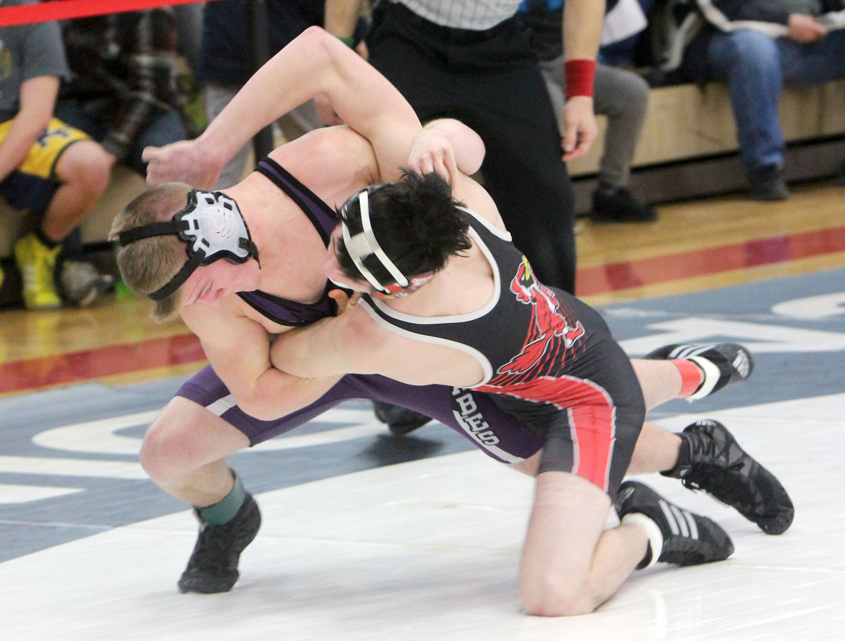 Division 1 wrestling regional at Chippewa Falls 2-9-19